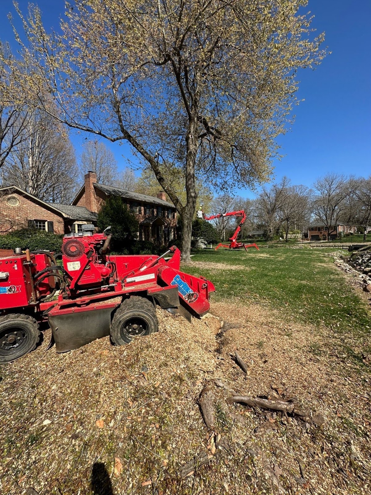 stump grinding