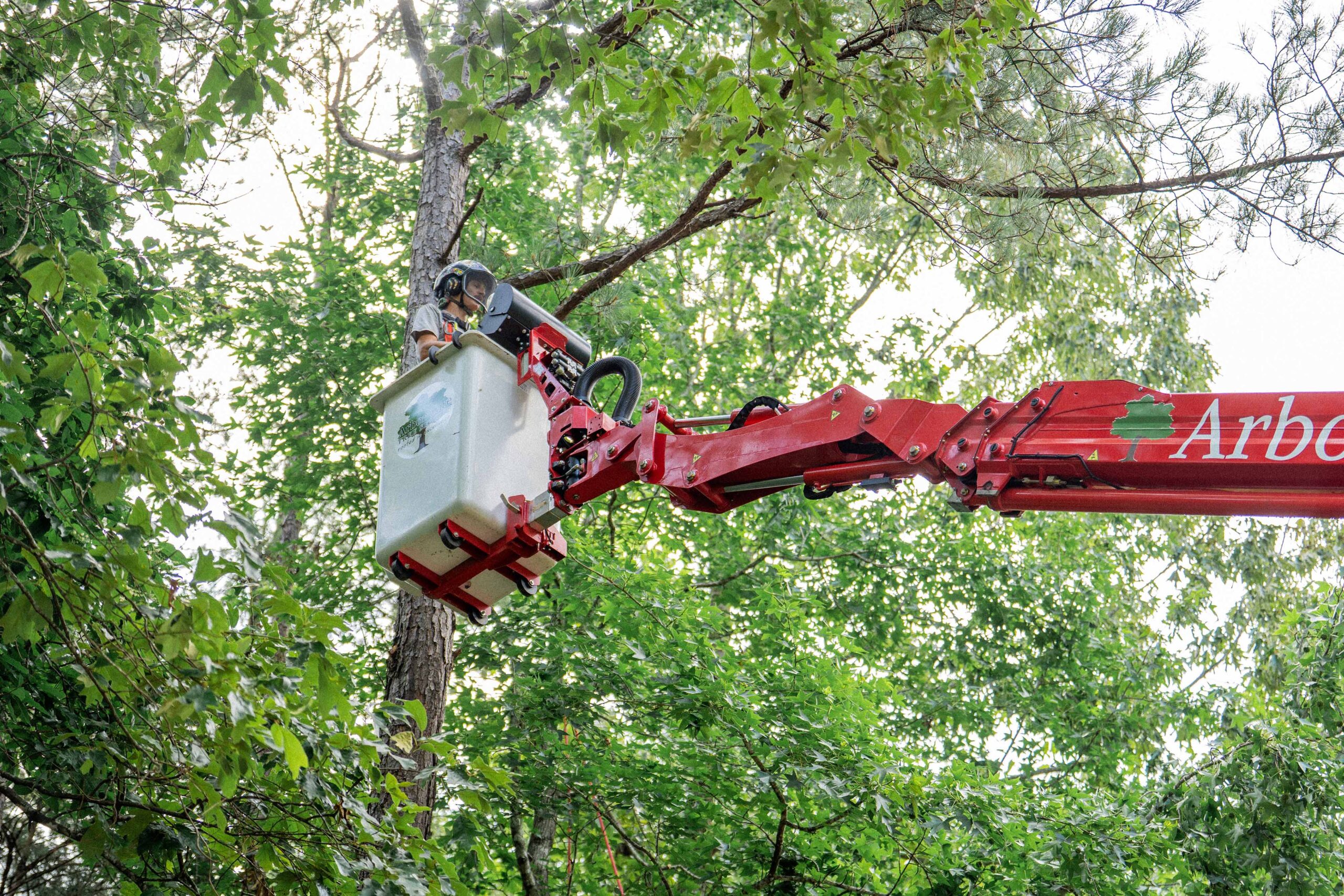 Tree Pruning