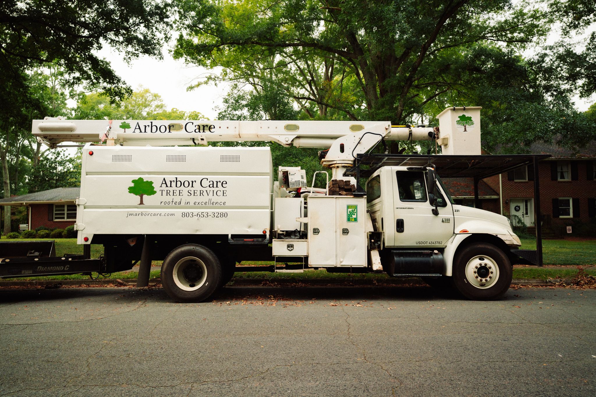 Tree Service Financing