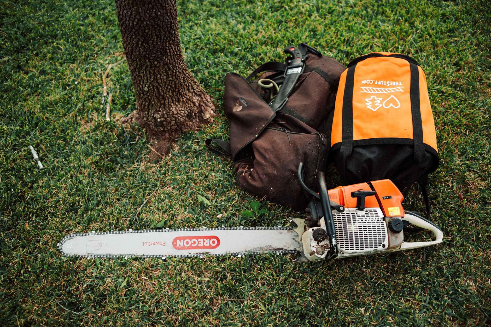 Frequently Asked Questions