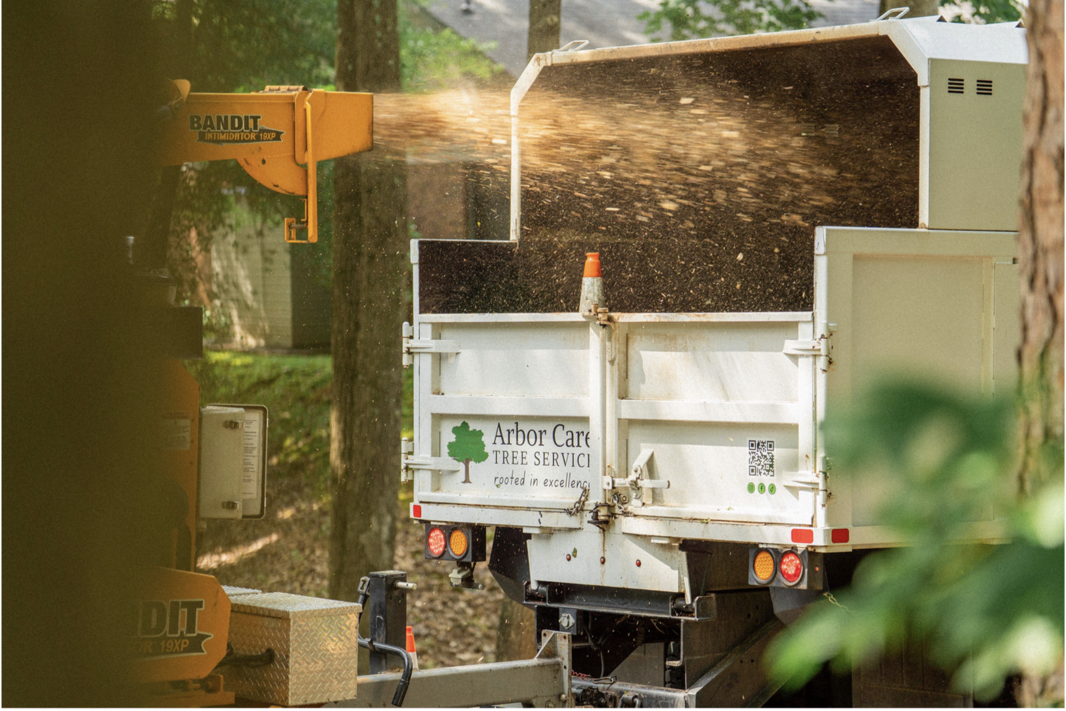 JM Arbor Care || Forestry Mulching